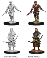 D&D NMM Human Rogue male