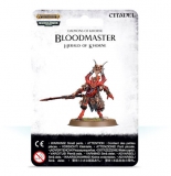 Bloodmaster – Herald of Khorne